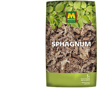 Sphagnum para epífitas y muros vegetales